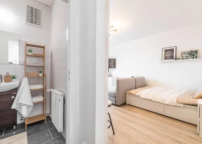 Sauber Und Modern, Netflix, Wifi, Flair, Kueche Apartament Lipsk